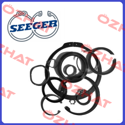 Seeger Orbis