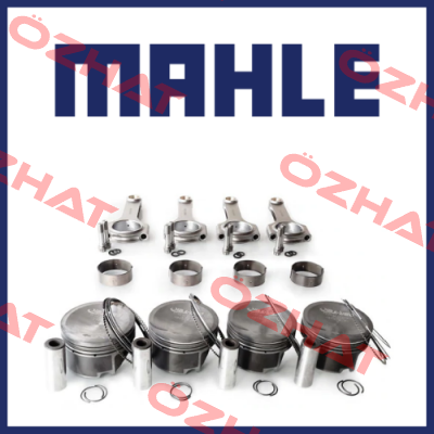 MAHLE