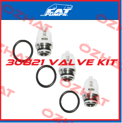 30821 Cat Pumps
