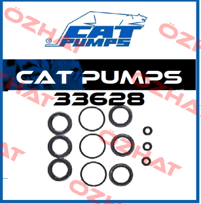 33628 Cat Pumps