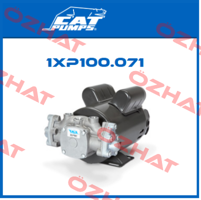 1XP100.071 Cat Pumps