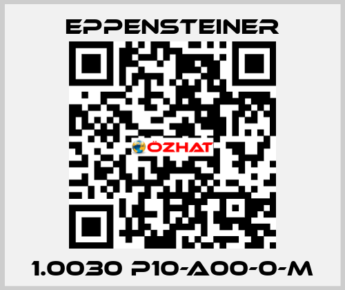 1.0030 P10-A00-0-M Eppensteiner