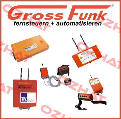 100-000-134 WECHSELAKKU 12V/1300MAH NIMH  Gross Funk