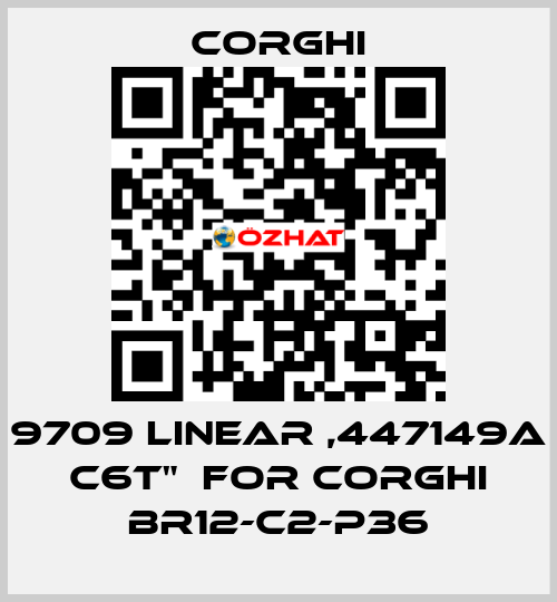 9709 LINEAR ,447149A C6T"  FOR CORGHI BR12-C2-P36 Corghi