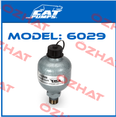 Model: 6029 Cat Pumps
