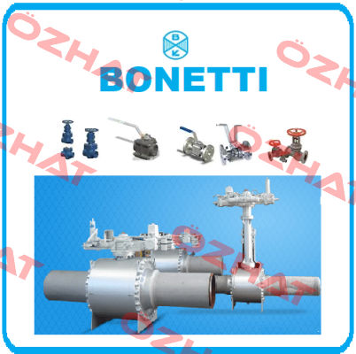 ASTM A 105 Cesare Bonetti
