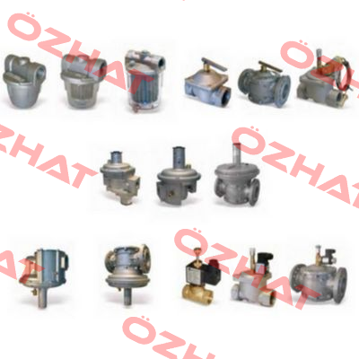 FILTER HOUSING COD 0010161007 MOD 7070003FE DN 50PN16  Giuliani Anello