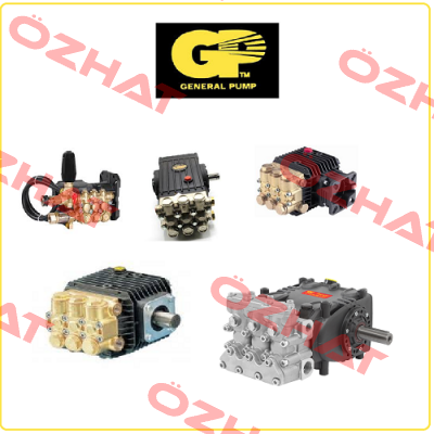 GENERAL AT0055 TRIPLEX PLUNGER PUMP  General Pump