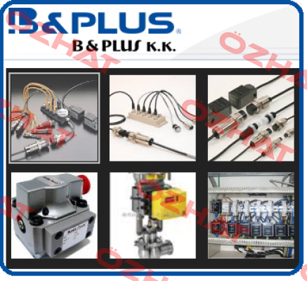 RVTI-030-21-PU-01  B & PLUS