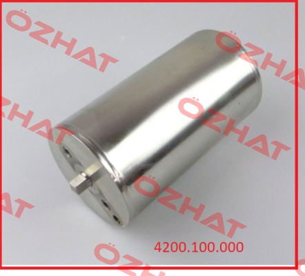 Type 4200100000-022 Kieselmann