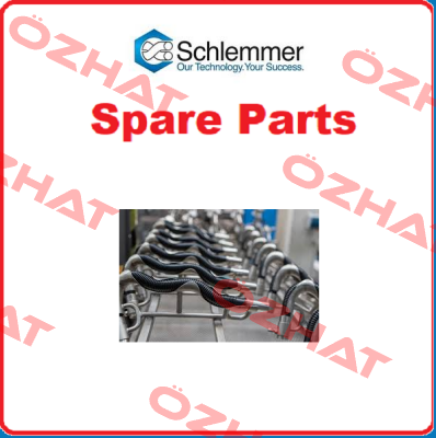 9805941 Schlemmer