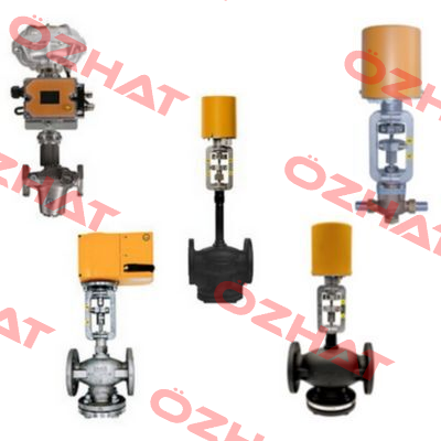 373-E4/21-TY20 Baelz
