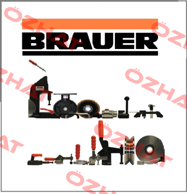 SVT300/70/BJM60  Brauer