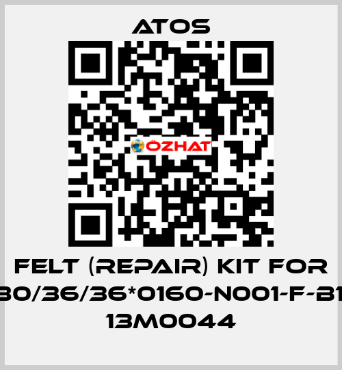 Felt (repair) kit for CK-9-80/36/36*0160-N001-F-B1X1-32 13M0044 Atos