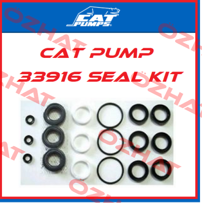 33916 Cat Pumps