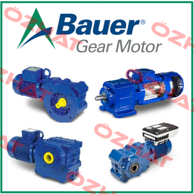 P/N: 189C8169 Type: BK90-51VO-C/IEC180/C2-MB Bauer