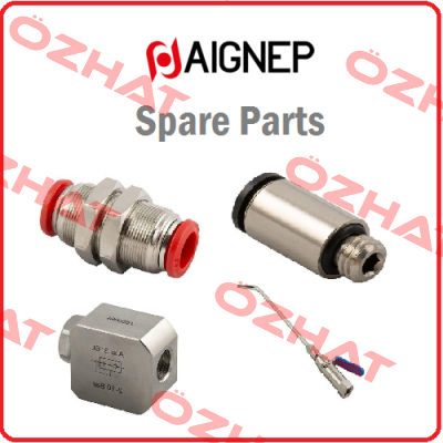 CME-G CC+PFL Aignep