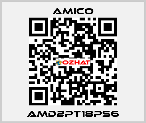 AMD2PT18PS6 AMICO