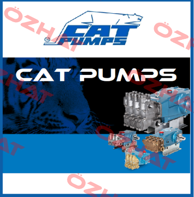 30820 (Item No. 310) Cat Pumps