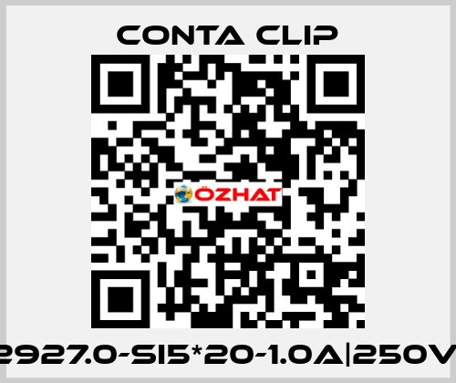 2927.0-SI5*20-1.0A|250V| Conta Clip