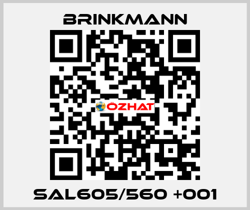 SAL605/560 +001 Brinkmann