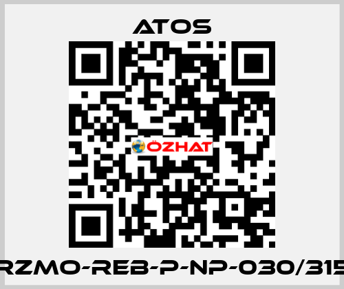 RZMO-REB-P-NP-030/315 Atos