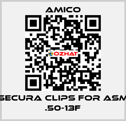 Secura Clips for ASM .50-13F AMICO