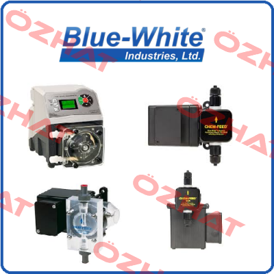 F451004LHN  Blue-White