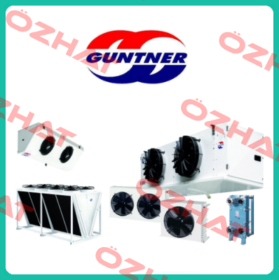155287/060.02  2130287; TYP VT0145 Guntner