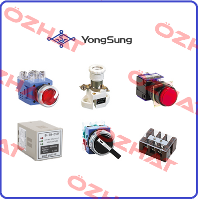 YS AP13-22R YongSung Electric