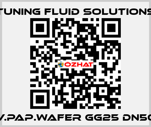 V.PAP.WAFER GG25 DN50 Tuning Fluid Solutions