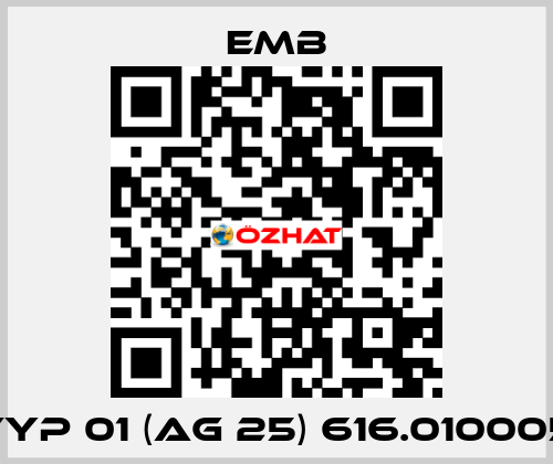 Typ 01 (AG 25) 616.010005 Emb
