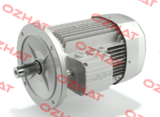 MOTORE BX 100LA 4 B5 230/400-50 IP55 IE3 Bonfiglioli