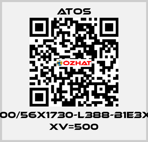 CK-100/56X1730-L388-B1E3X1Z3 XV=500 Atos