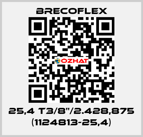 25,4 T3/8"/2.428,875 (1124813-25,4) Brecoflex