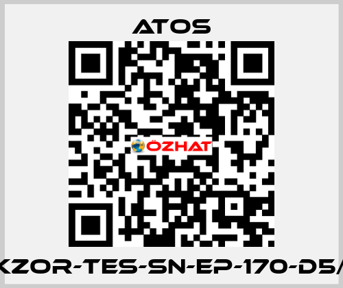 DKZOR-TES-SN-EP-170-D5/FI Atos