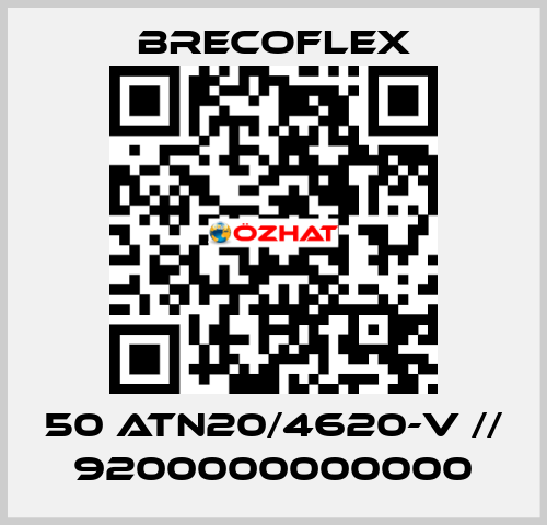 50 ATN20/4620-V // 9200000000000 Brecoflex