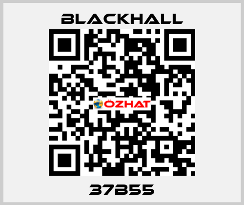 37B55 Blackhall