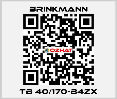TB 40/170-B4ZX Brinkmann