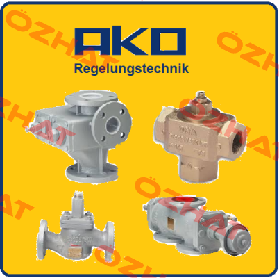 cover for 226 0121 000 DN 100 AKO Regelungstechnik