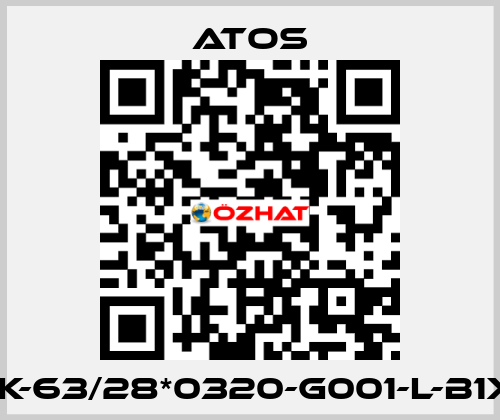 CK-63/28*0320-G001-L-B1X1 Atos