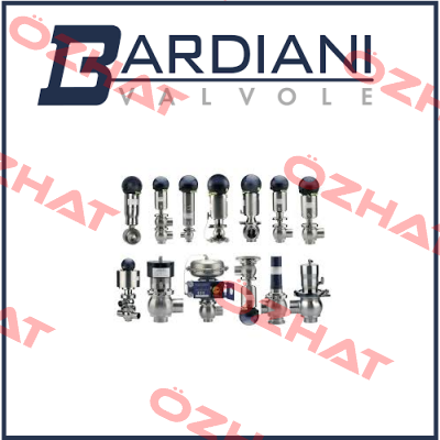 ZQDN50 STAINLESS STEEL PRESSURE ADJUSTING 0 - 80BAR (WITH: 2 X REDUCED THREADED SOCKET 2 X CYLINDER  Bardiani Valvole