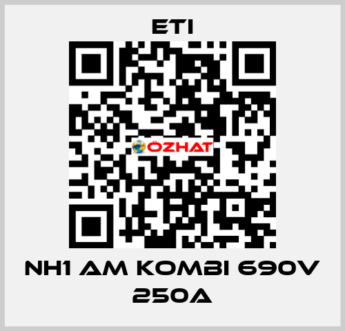 NH1 aM KOMBI 690V 250A Eti