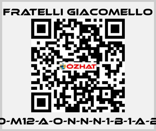 LV/E-S1-450-M12-A-O-N-N-N-1-B-1-A-2-0-0-A-0-0 Fratelli Giacomello