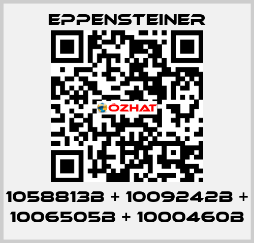 1058813B + 1009242B + 1006505B + 1000460B Eppensteiner