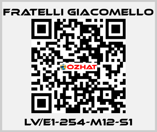 LV/E1-254-M12-S1 Fratelli Giacomello
