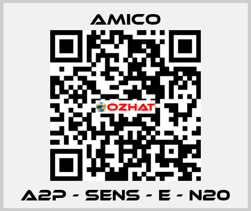 A2P - SENS - E - N20 AMICO