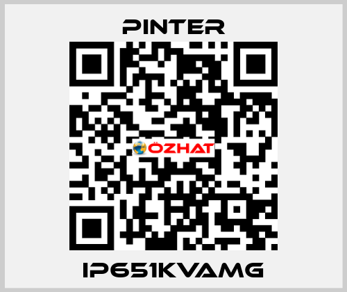 IP651KVAMG Pinter
