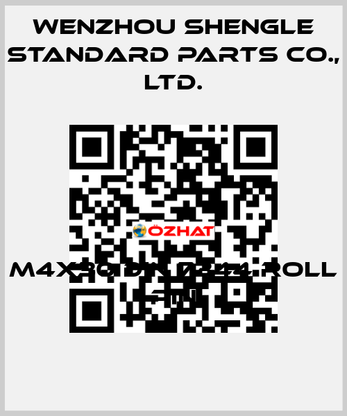 M4x30 DIN 7344 roll pin Wenzhou Shengle Standard Parts Co., Ltd.