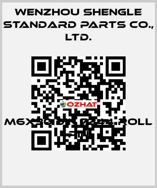 M6x30 DIN 7344 roll pin Wenzhou Shengle Standard Parts Co., Ltd.